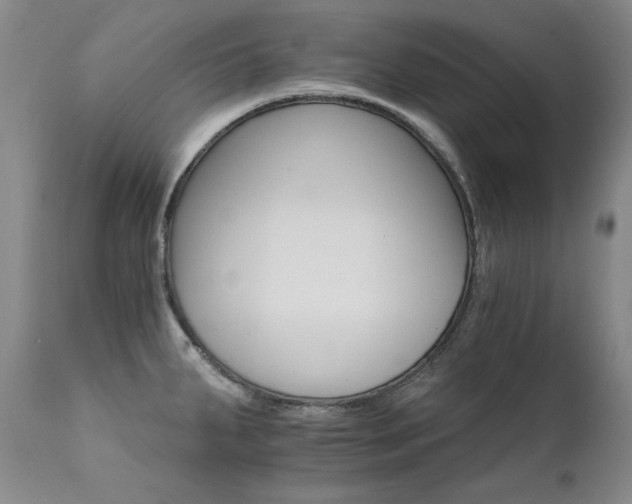 X0000111511287200907141327