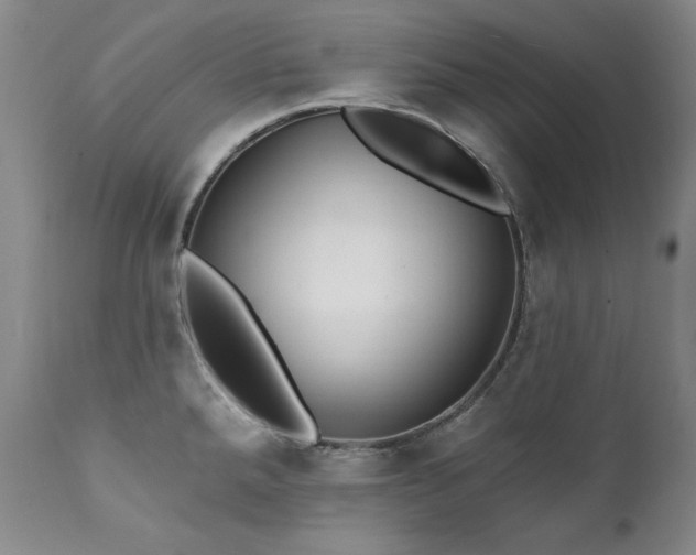 X0000111511288200907141327