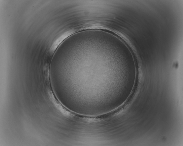 X0000111511289200907141327