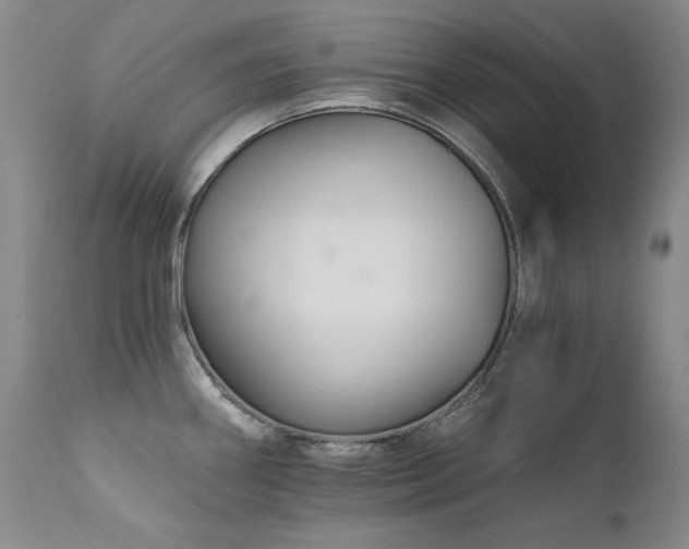 X0000111511290200907141327