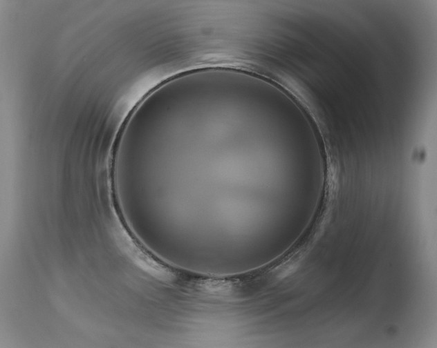 X0000111511291200907141327