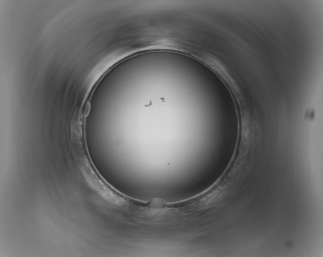 X0000111511292200907141327