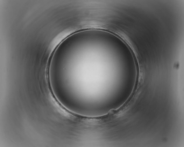 X0000111511293200907141327