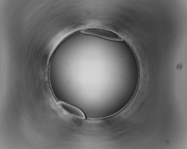 X0000111511296200907141327