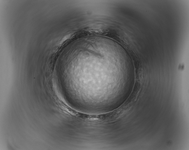 X0000111511297200907141326