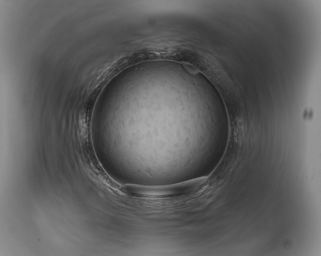 X0000111511298200907141326