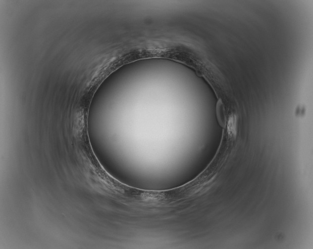 X0000111511299200907141326