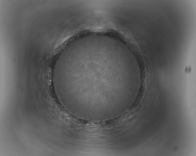 X0000111511301200907141326