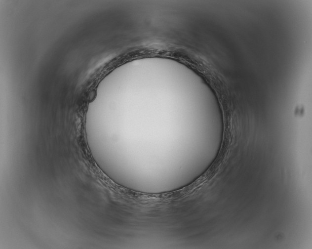 X0000111511302200907141326