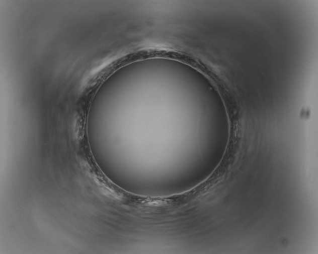 X0000111511303200907141326