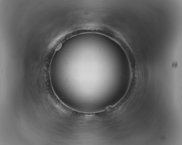 X0000111511304200907141326