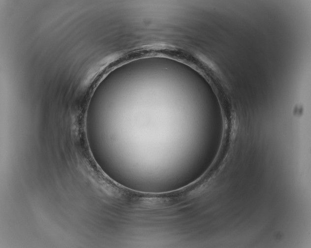 X0000111511305200907141326
