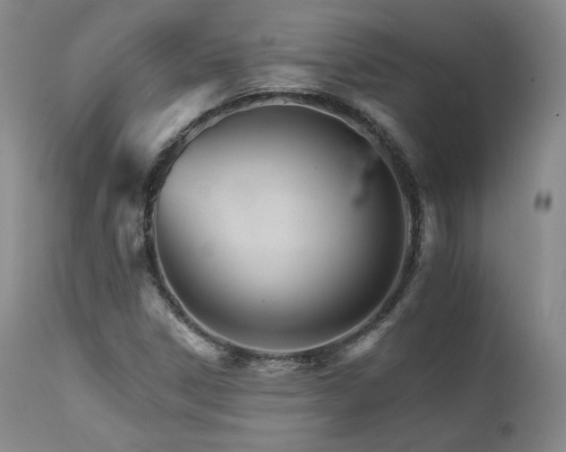 X0000111511306200907141326