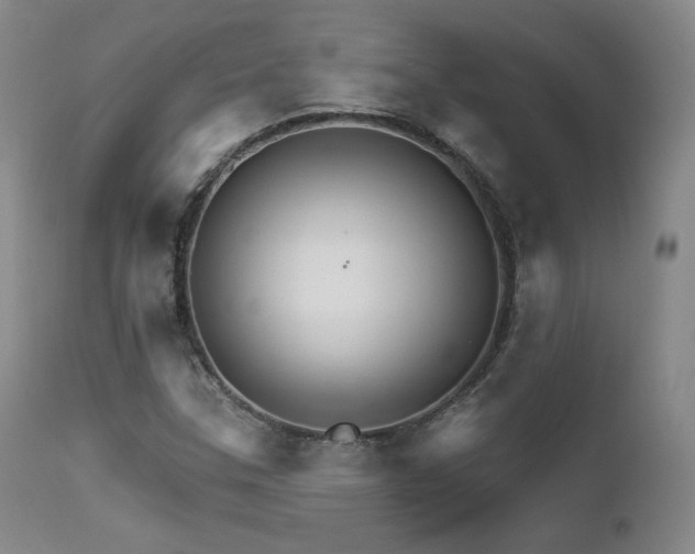 X0000111511307200907141326