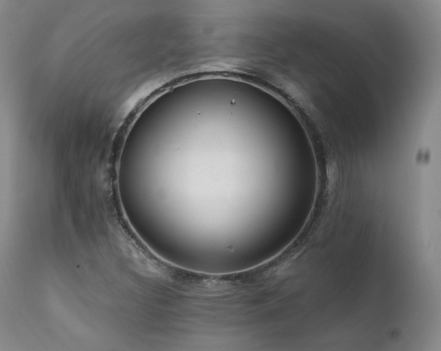 X0000111511308200907141326