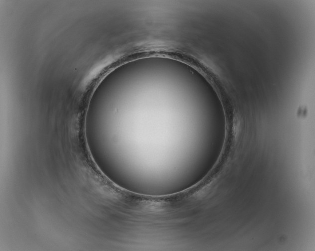 X0000111511309200907141326