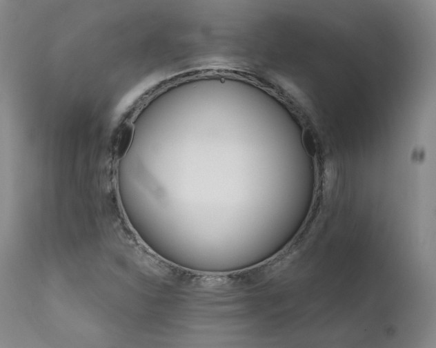 X0000111511310200907141326