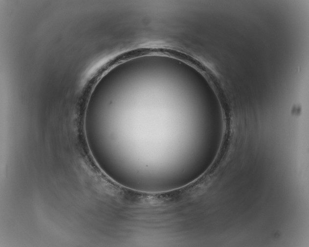X0000111511311200907141326