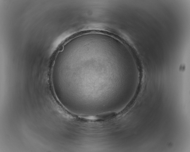 X0000111511312200907141326