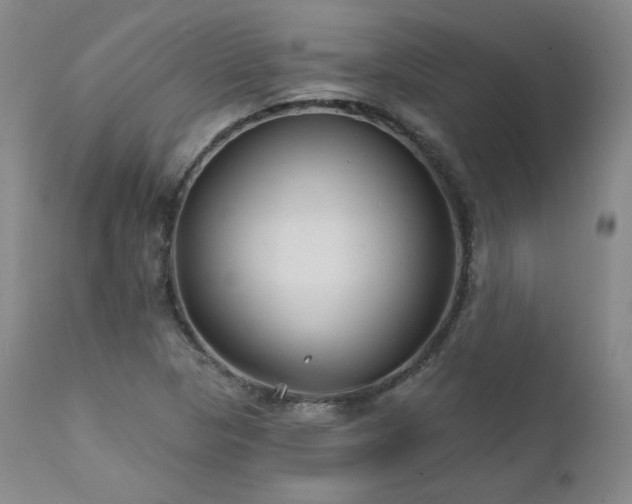 X0000111511313200907141326