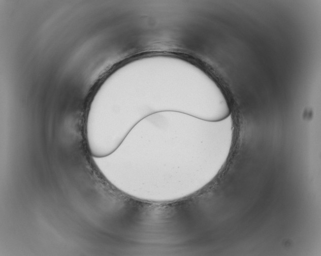 X0000111511314200907141326