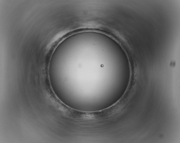 X0000111511315200907141326