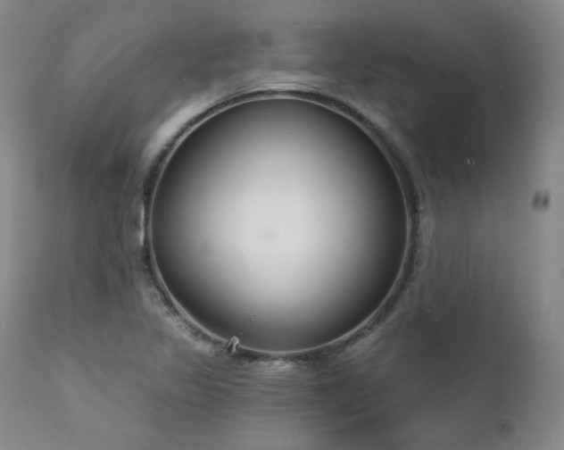 X0000111511317200907141326