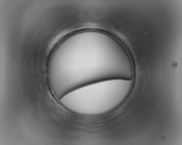 X0000111511318200907141326