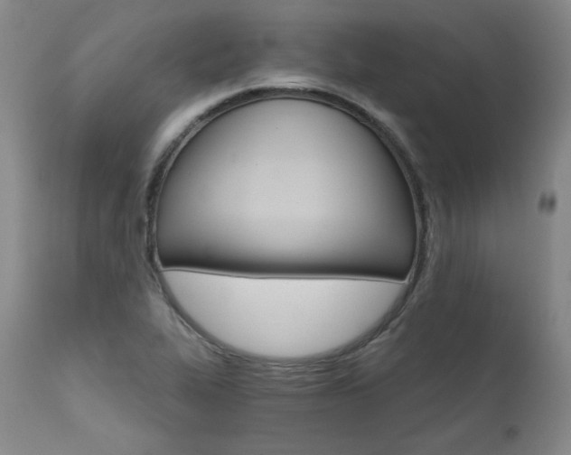 X0000111511319200907141326