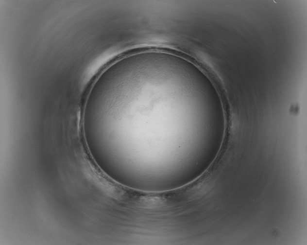 X0000111511320200907141326