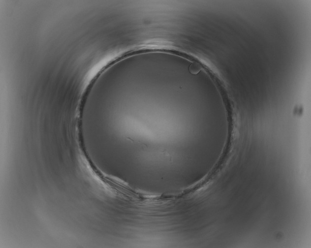X0000111511325200907141326