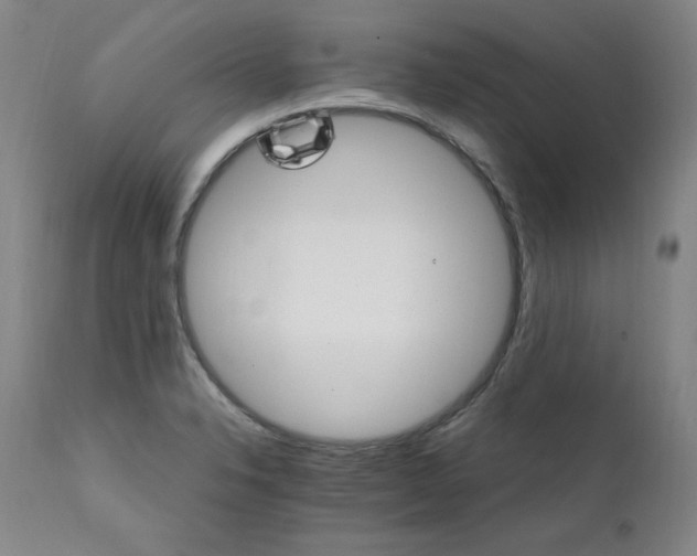 X0000111511326200907141326