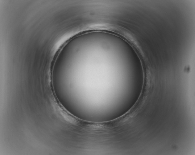 X0000111511328200907141326