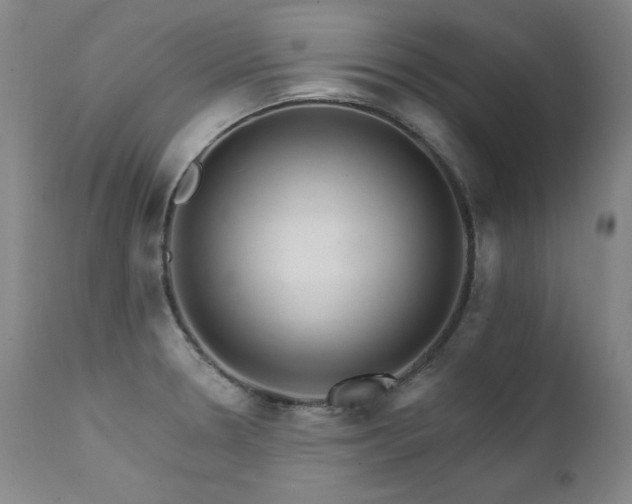 X0000111511330200907141326