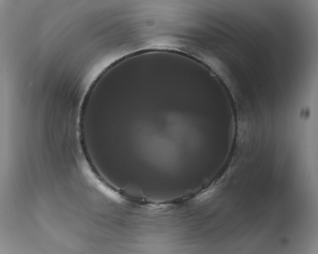 X0000111511331200907141326