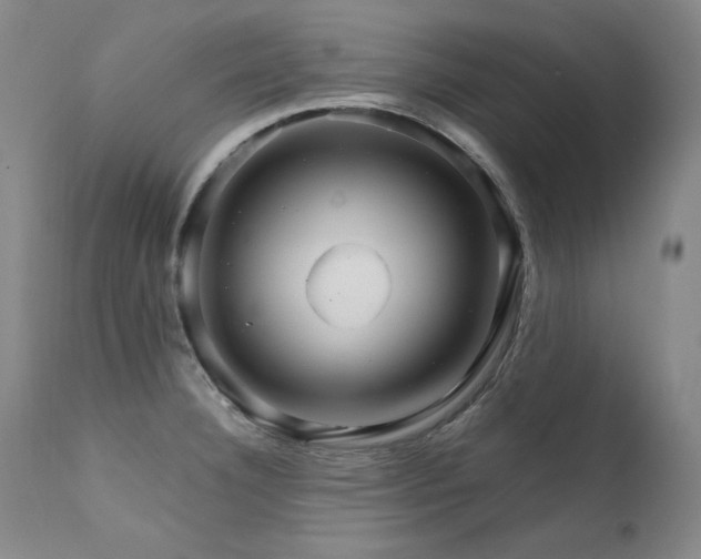 X0000111511332200907141326