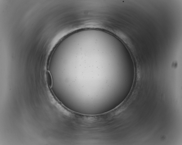 X0000111511334200907141327
