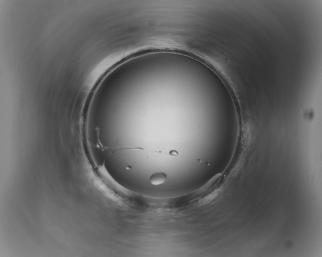 X0000111511335200907141327