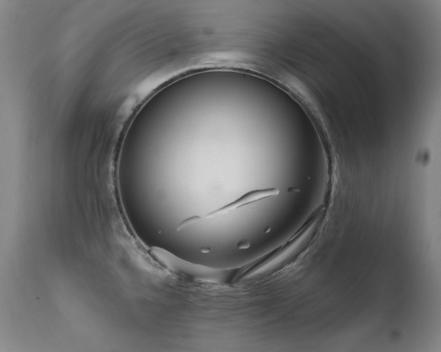 X0000111511336200907141327