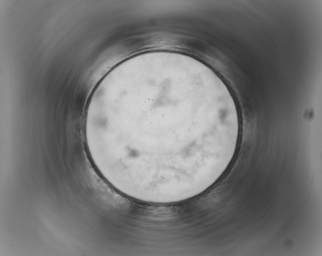 X0000111511338200907141327