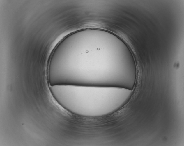 X0000111511339200907141327