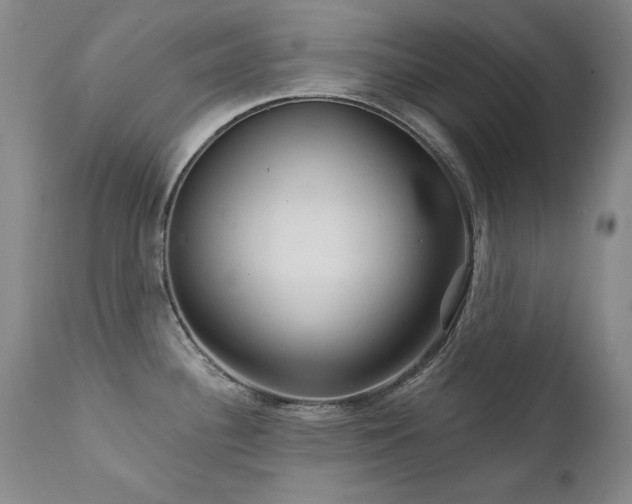 X0000111511340200907141327