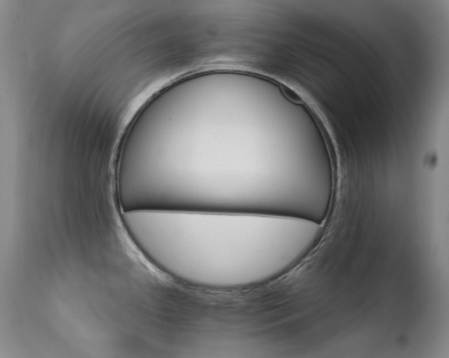 X0000111511341200907141327