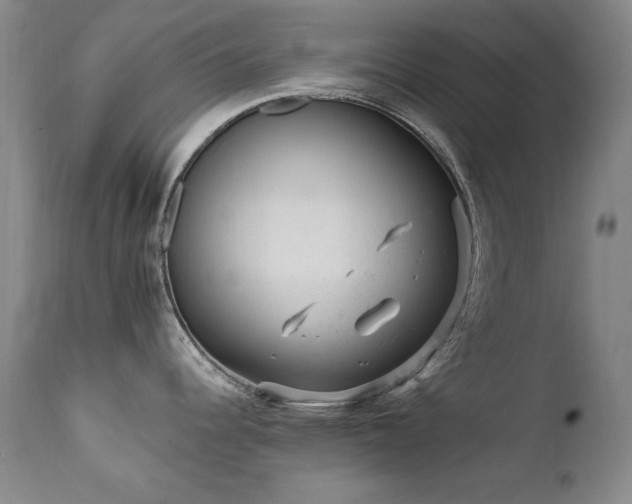 X0000111511344200907141327