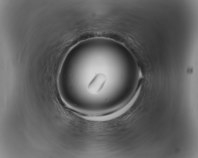 X0000111511345200907141326