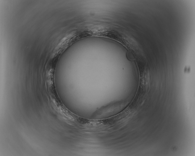 X0000111511346200907141326