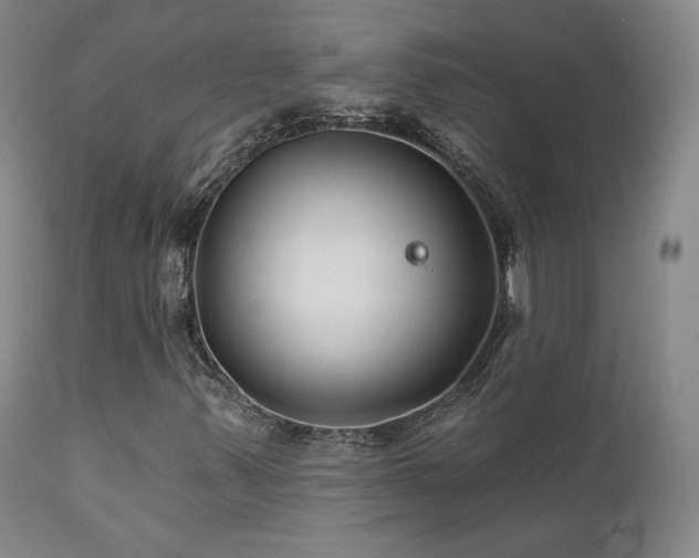 X0000111511347200907141326