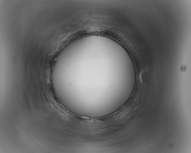 X0000111511348200907141326