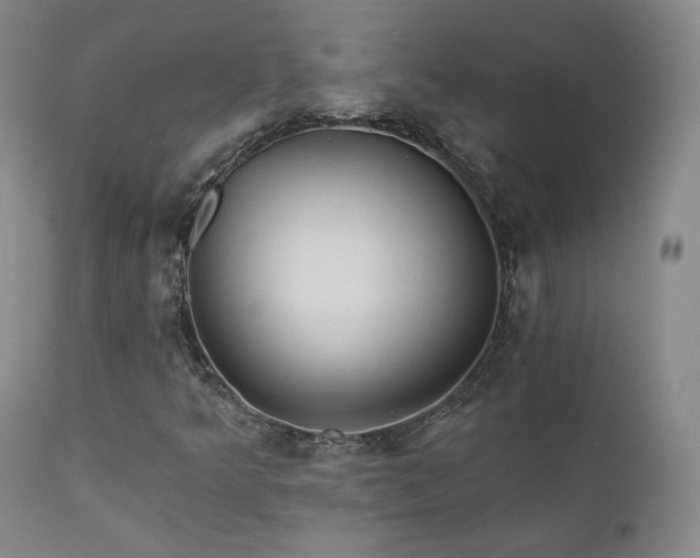 X0000111511349200907141326