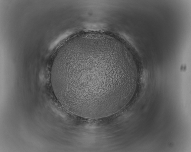 X0000111511350200907141326
